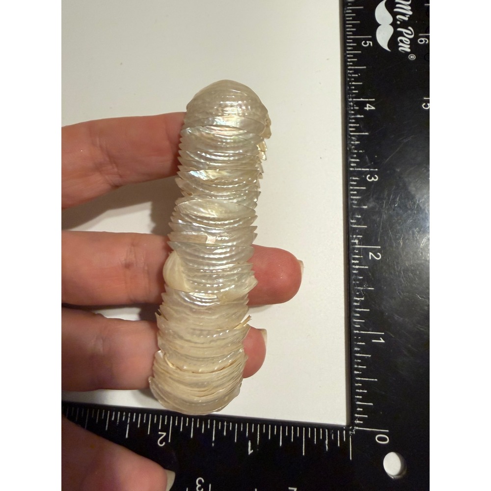 Mother of Pearl Shell Stretch Bracelet Iridescent Stacked Coastal Boho Cream